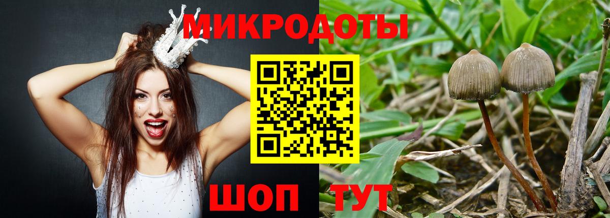 Галлюциногенные грибы мицелий Великий Устюг